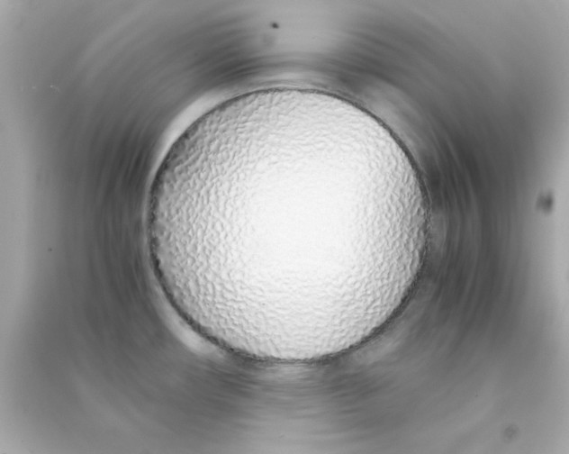 X0000090471482200708102122