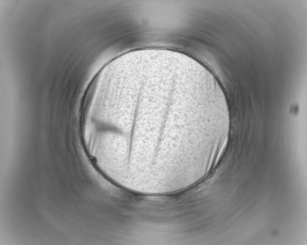 X0000090471483200708102122