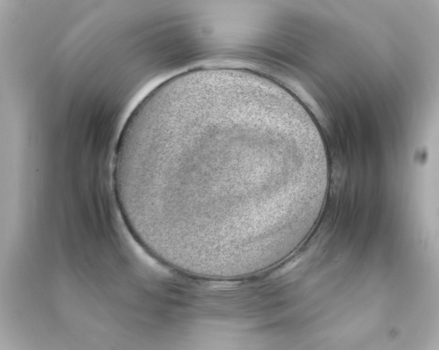 X0000090471484200708102122