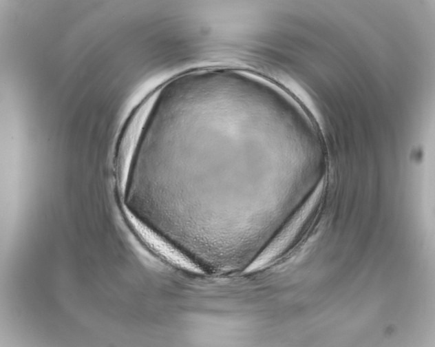 X0000090471485200708102122