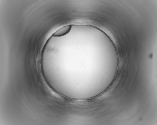 X0000090471486200708102122