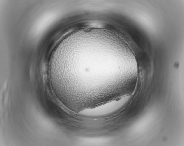 X0000090471487200708102122