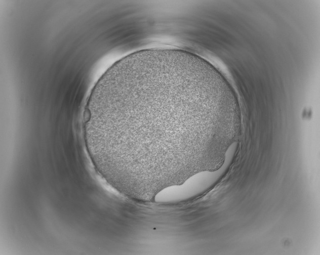 X0000090471488200708102122