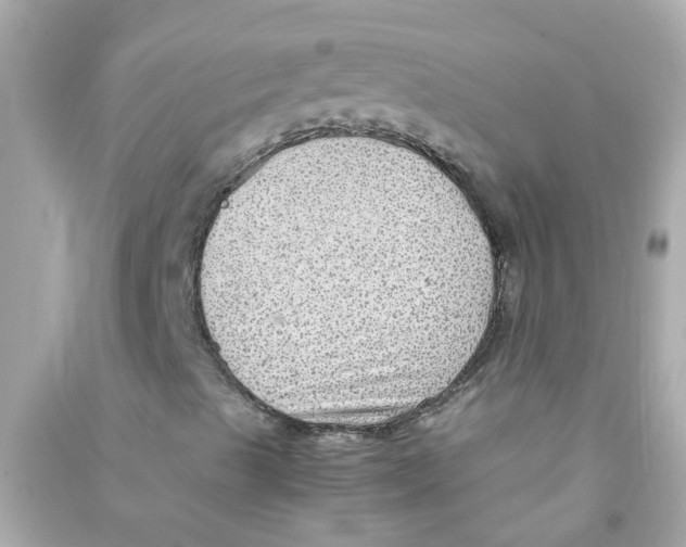 X0000090471489200708102121