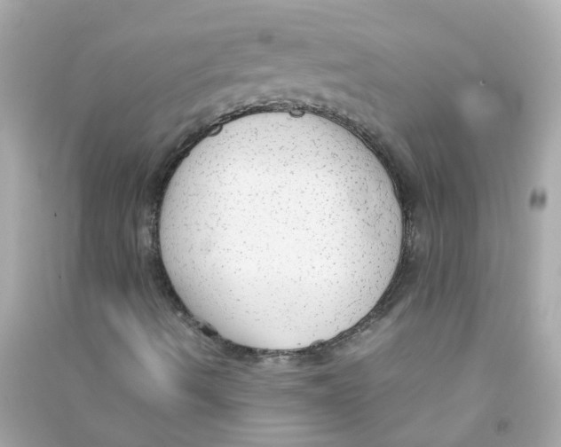 X0000090471490200708102121