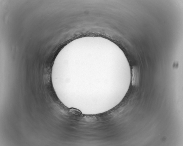 X0000090471491200708102121