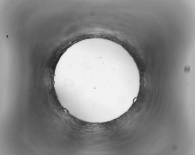 X0000090471493200708102122