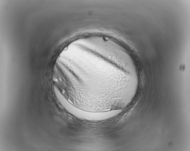 X0000090471494200708102122