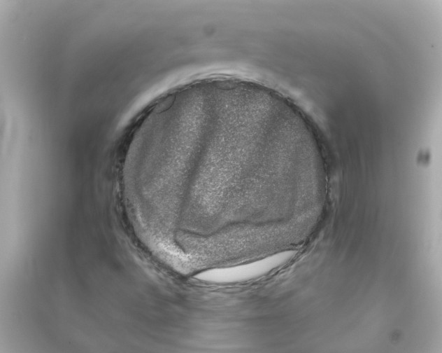 X0000090471496200708102122