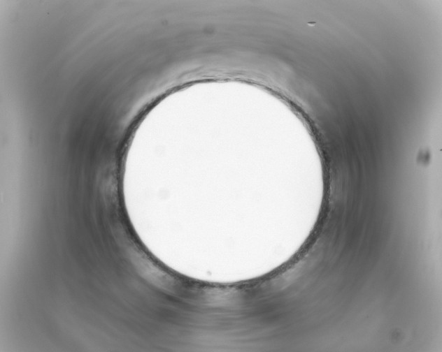 X0000090471498200708102122