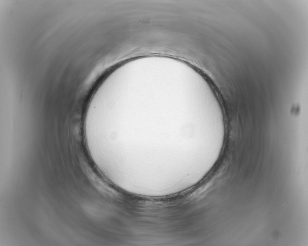 X0000090471499200708102122