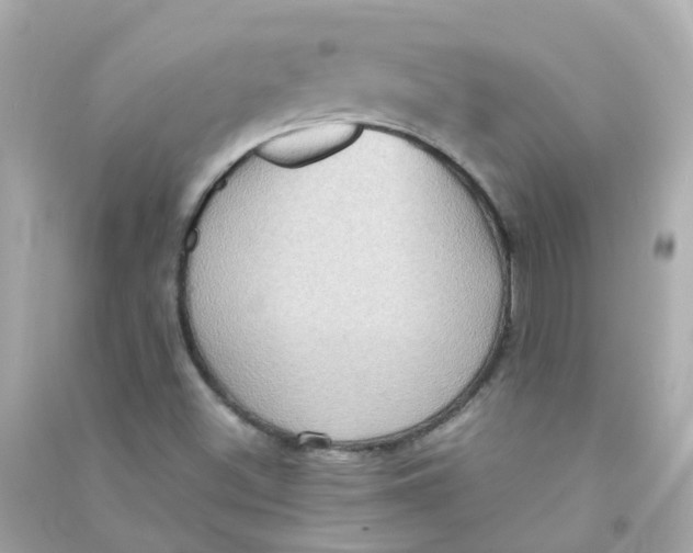 X0000090471500200708102122