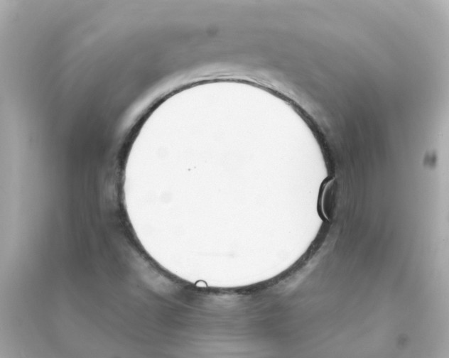 X0000090471502200708102122