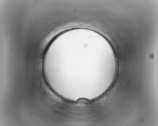 X0000090471503200708102122