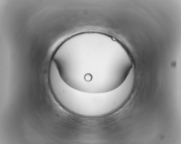 X0000090471504200708102122