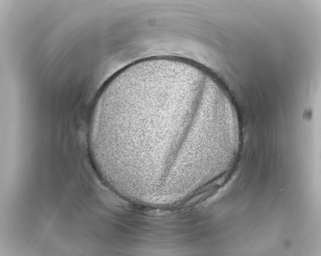 X0000090471505200708102122