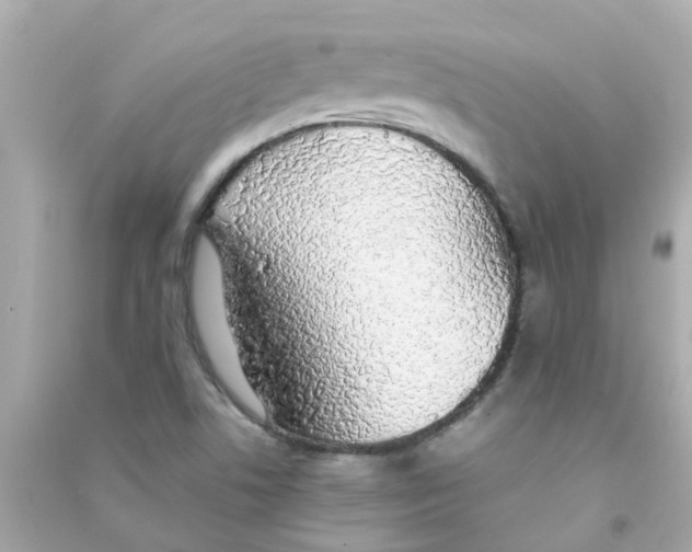 X0000090471506200708102122