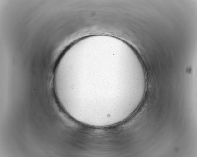 X0000090471507200708102122