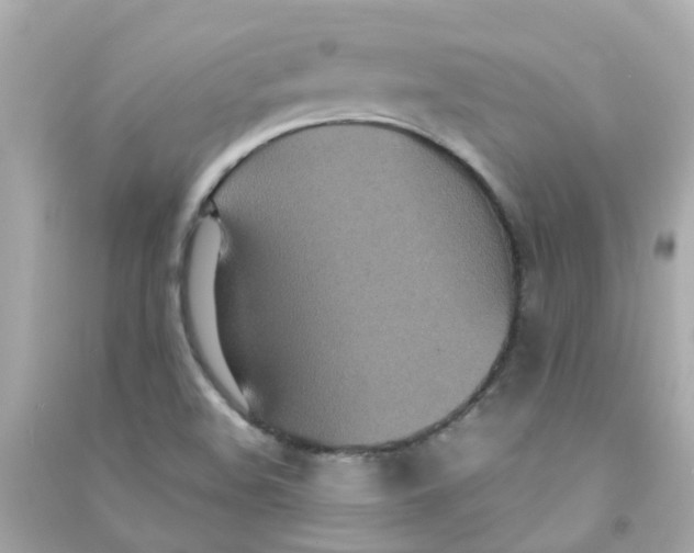 X0000090471508200708102122