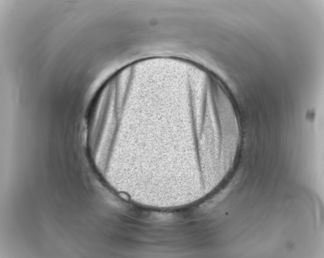 X0000090471509200708102122