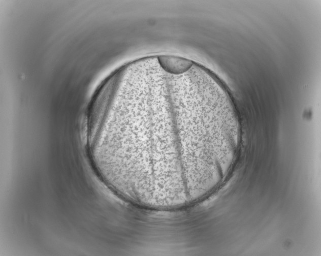 X0000090471510200708102122