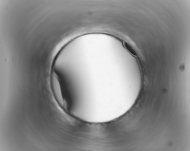 X0000090471512200708102122