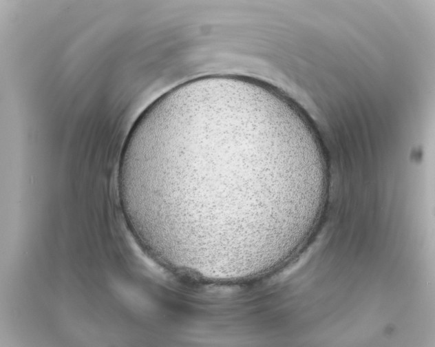 X0000090471513200708102122