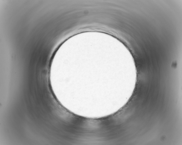 X0000090471514200708102122