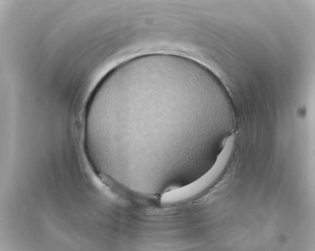 X0000090471515200708102122