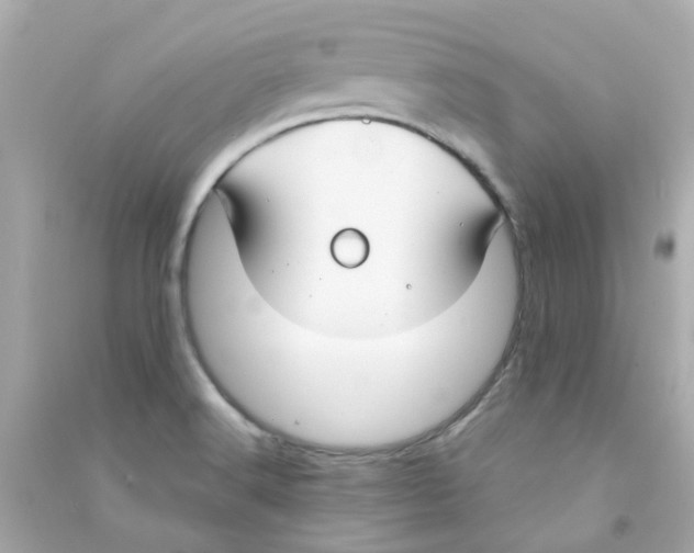 X0000090471516200708102122