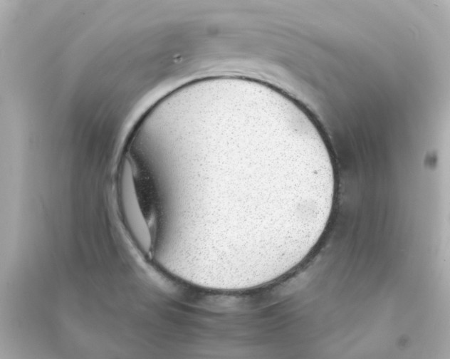 X0000090471517200708102122