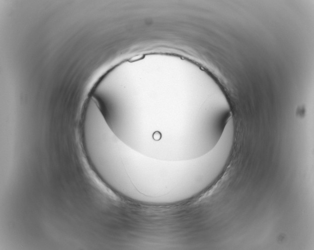 X0000090471518200708102122