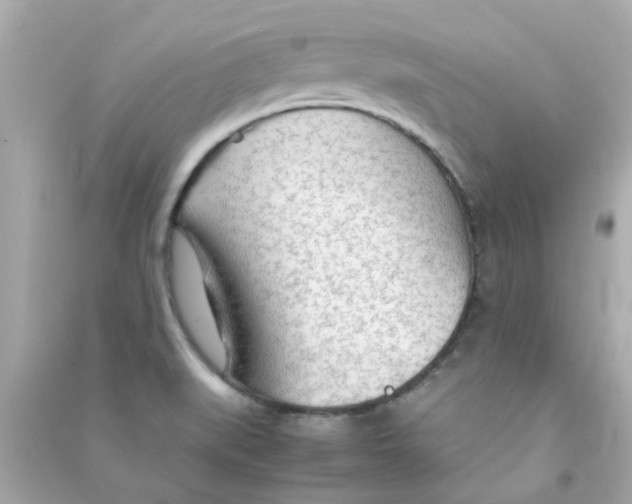 X0000090471519200708102122