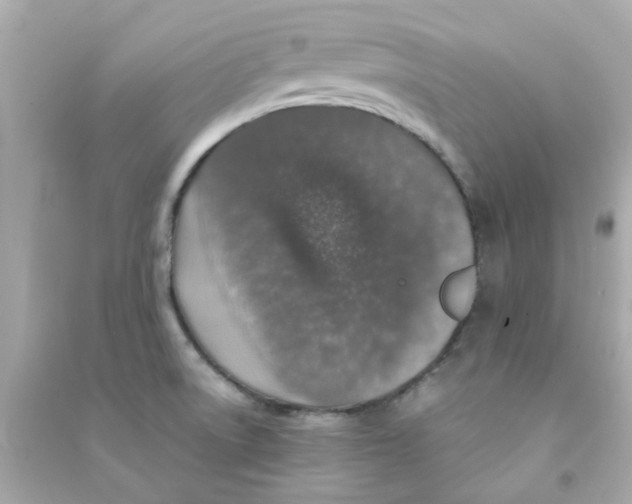 X0000090471522200708102122