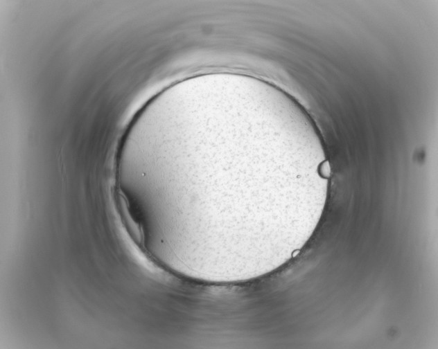 X0000090471523200708102122