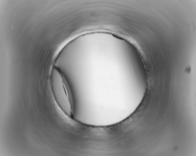 X0000090471524200708102122