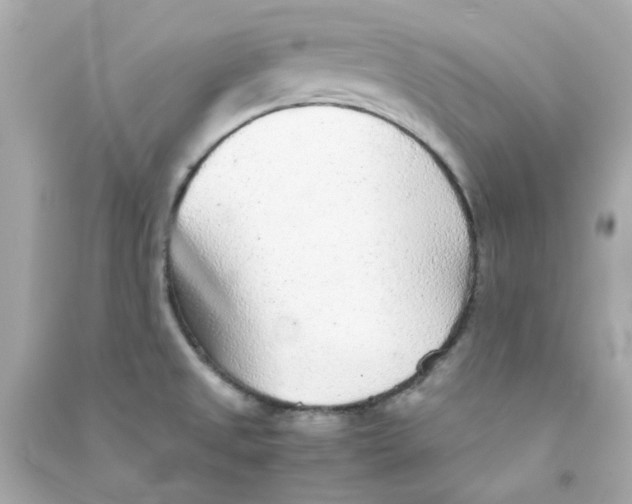 X0000090471525200708102122