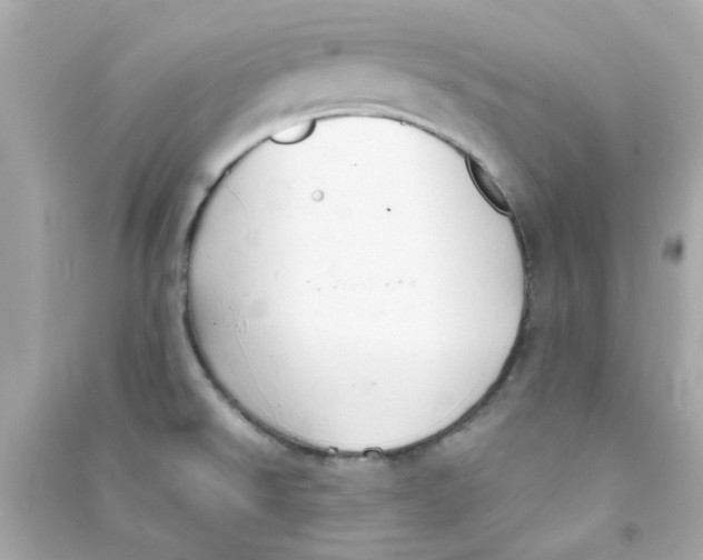 X0000090471526200708102122