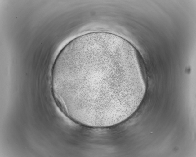 X0000090471527200708102122