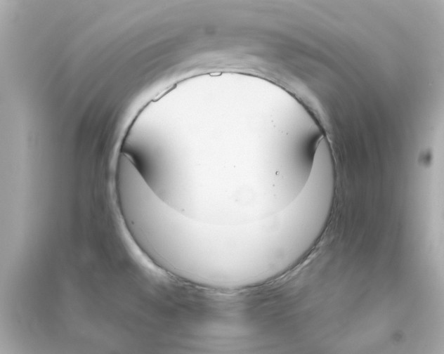 X0000090471528200708102122