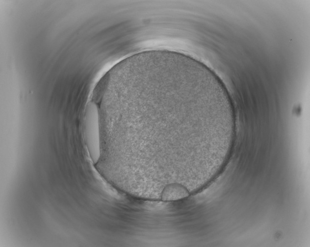 X0000090471529200708102122