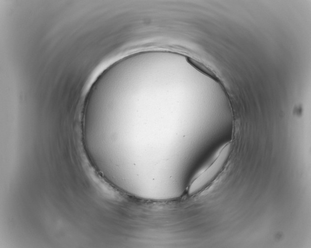 X0000090471530200708102122