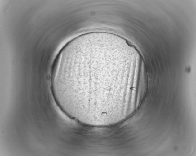 X0000090471531200708102122