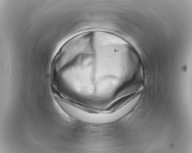 X0000090471532200708102122