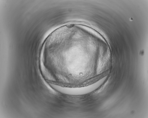 X0000090471533200708102122