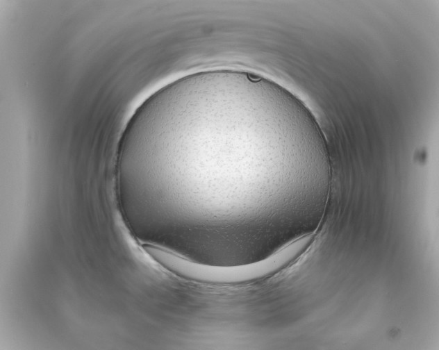 X0000090471534200708102122