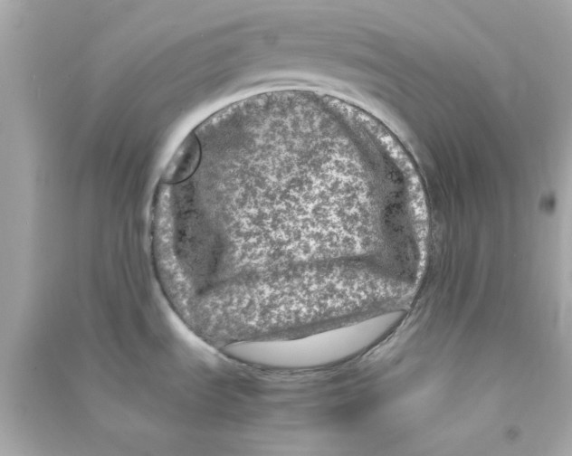 X0000090471535200708102122