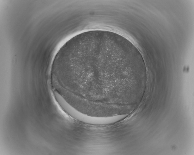 X0000090471536200708102122