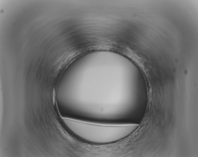X0000090480013200707131055