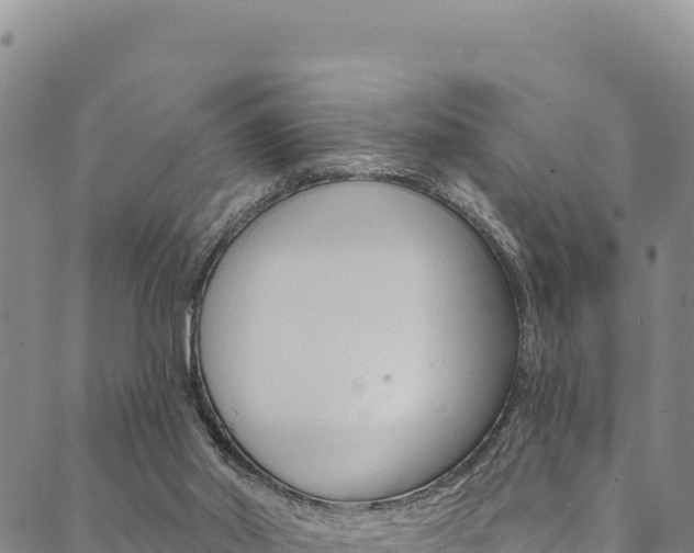 X0000090480014200707131055